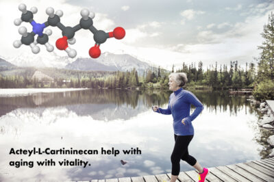 L-carnitine and aging