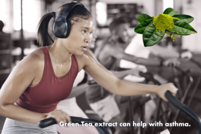 green tea extract helps asthma
