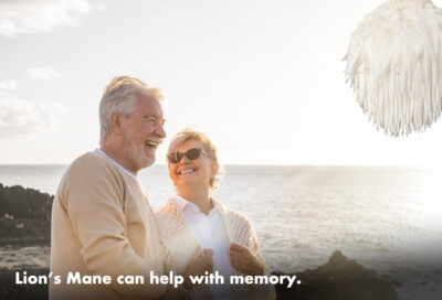 Memory helped by Lions Mane
