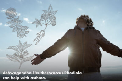 Asthma is helped by Asthma-Ashwagandha-Eleutherococcus-Rhodiola-mix